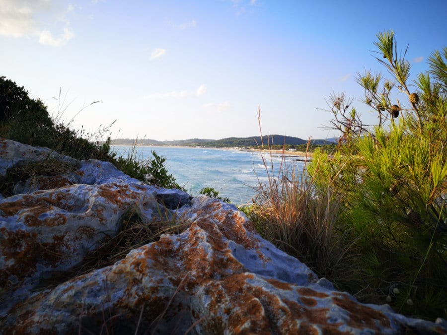 Nur eine weitere Lebensgeschichte Teil 1